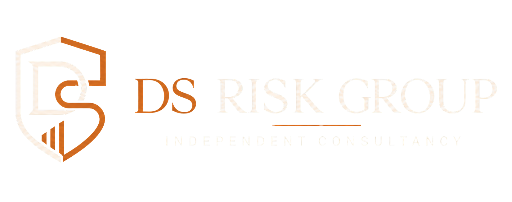 DS Risk Group logo
